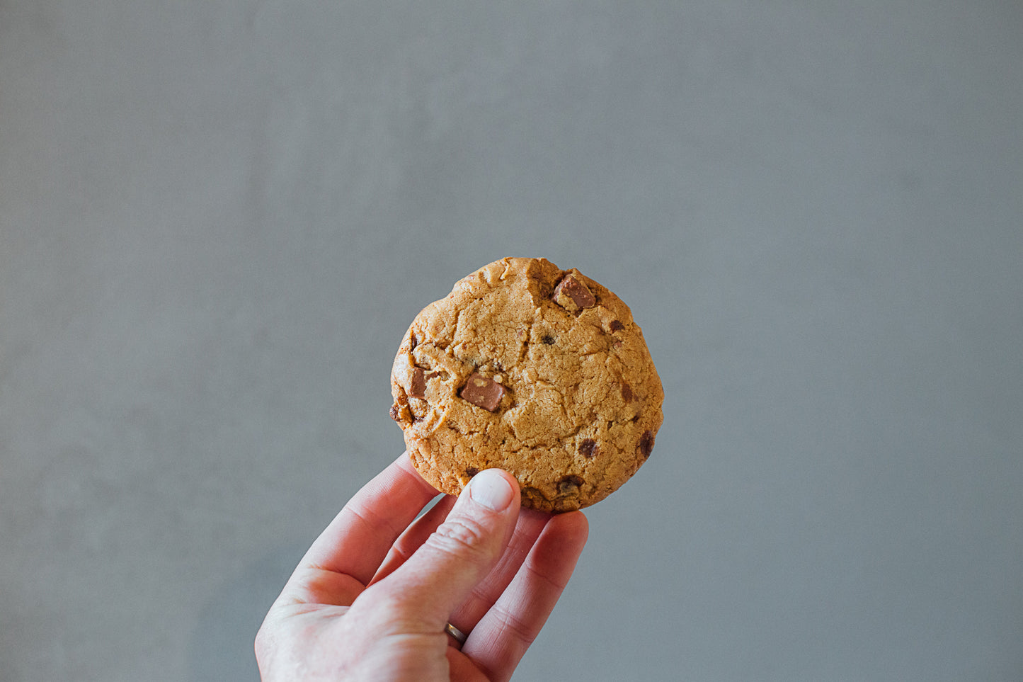 業務用(5個)| チョコレートチップクッキー